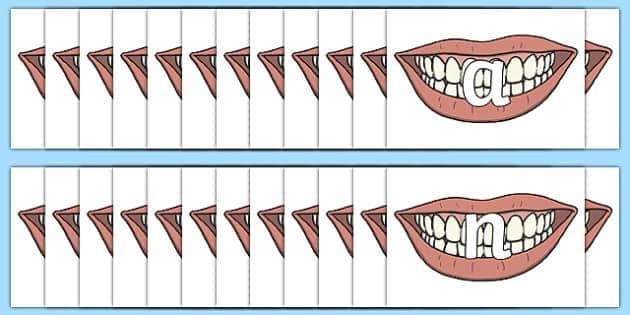 The A to Z Dental Journey: Explore the Marvels of Dental Procedures
